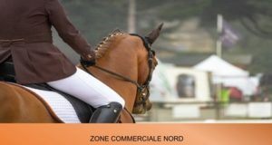 ZONE COMMERCIALE NORD