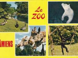 Le zoo d’Amiens